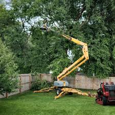 Best Lawn Watering Services  in Half Moon Bay, CA